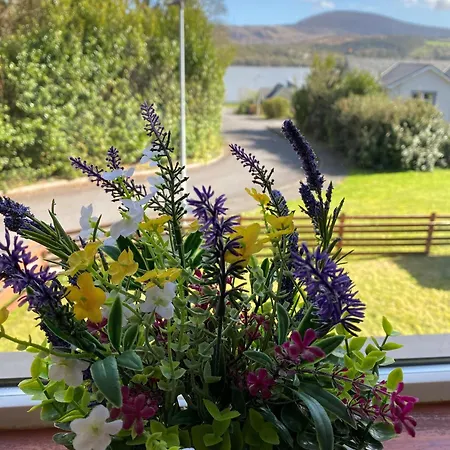 Modern Bright Detached Just A Short Stroll From Town *