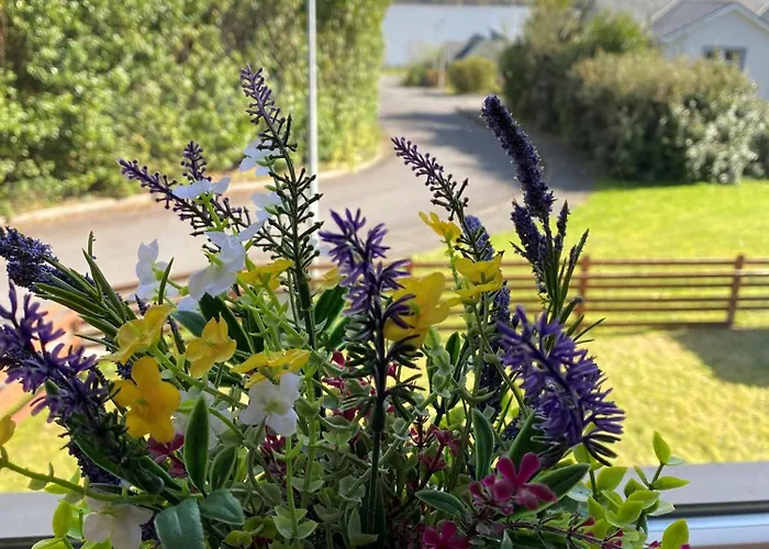 Modern Bright Detached Just A Short Stroll From Town *